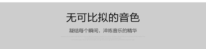 挪威音樂之旅Electrocompaniet,音樂之旅Electrocompaniet AW400 單聲道后級