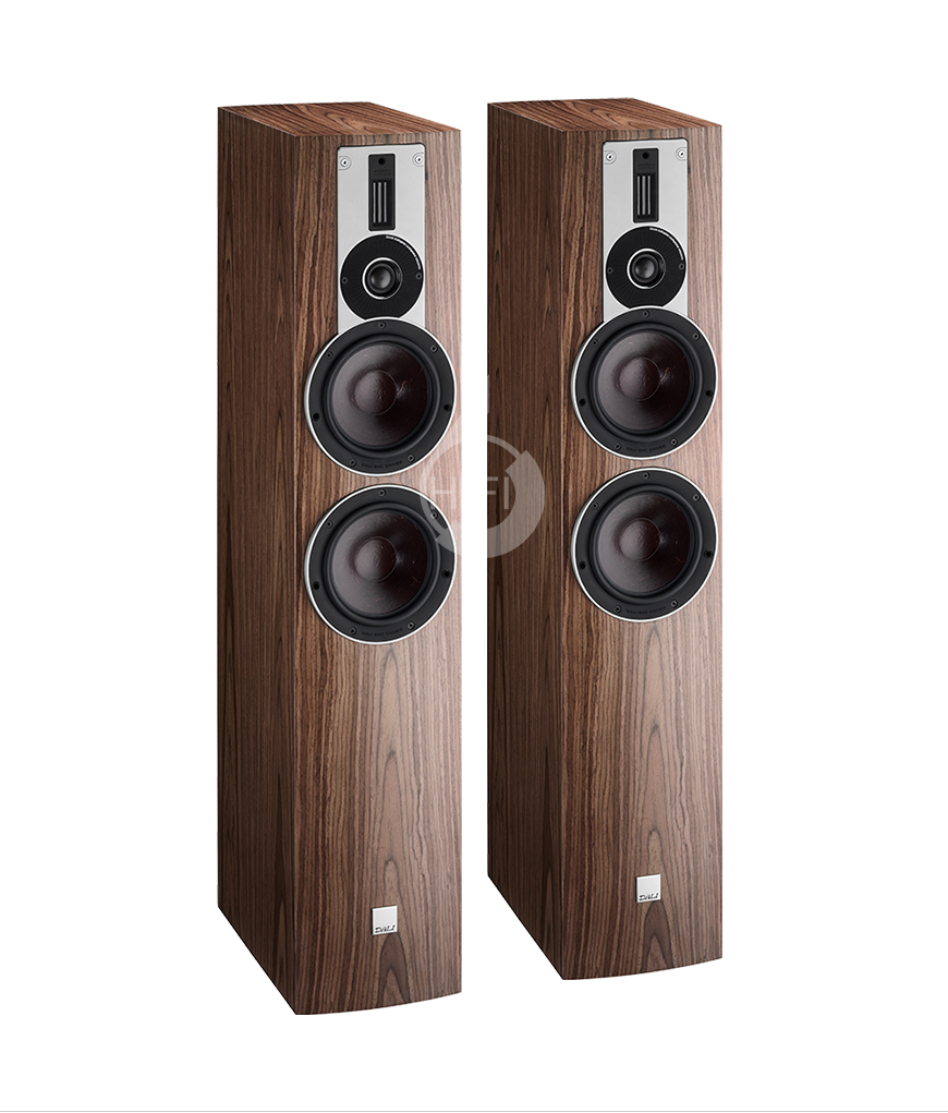 丹麥達尼DALI RUBICON 6 樂爵6號 落地音箱,丹麥達尼DALI HIFI音箱