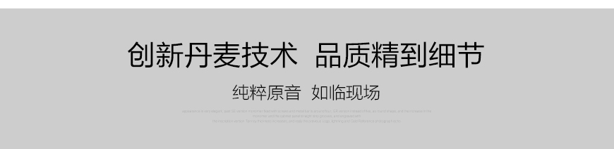 丹麥達尼DALI RUBICON 8 樂爵8號 落地音箱,丹麥達尼DALI HIFI音箱