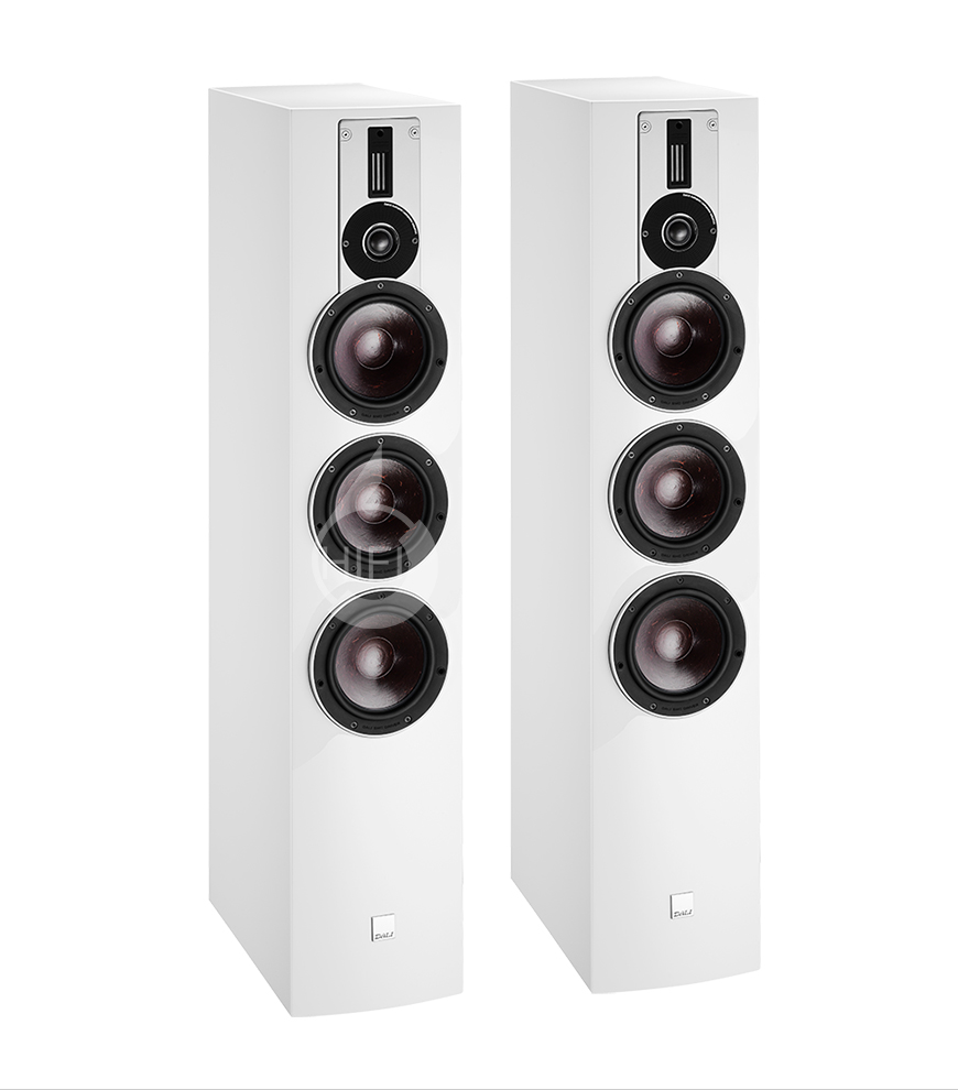 丹麥達尼DALI RUBICON 8 樂爵8號 落地音箱,丹麥達尼DALI HIFI音箱
