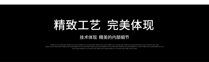 聲雅A203GS 合并機,聲雅后級,聲雅功放
