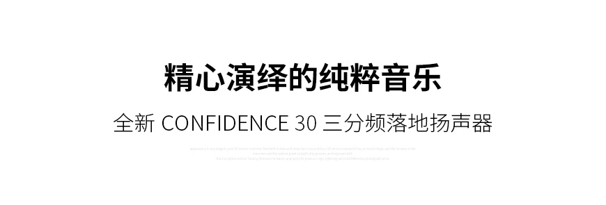 丹麥 丹拿 Dynaudio 信心系列 Confidence 30 落地箱,丹拿 信心系列 落地箱,丹麥 Dynaudio Confidence 30,丹麥 丹拿