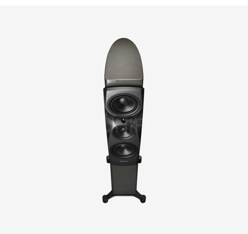 丹麥 丹拿 Dynaudio 信心系列 Confidence 30 落地箱,丹拿 信心系列 落地箱,丹麥 Dynaudio Confidence 30,丹麥 丹拿