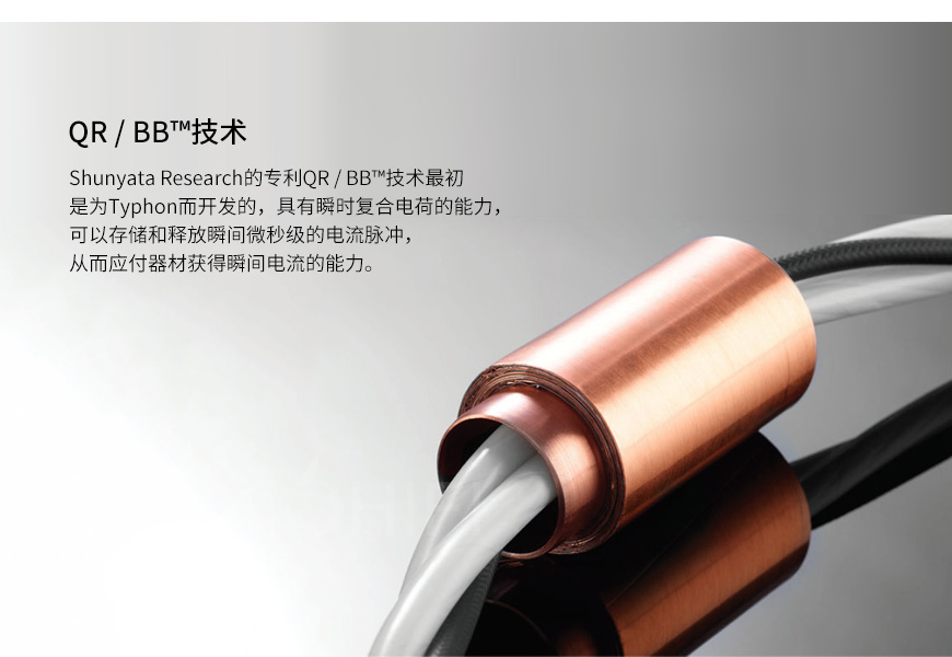 美國 蛇皇 Shunyata Research EVEREST 電源處理器,蛇皇 EVEREST 電源處理器,美國 Shunyata Research EVEREST,美國 蛇皇