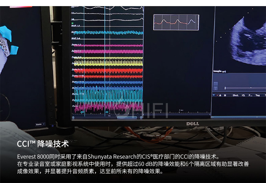 美國 蛇皇 Shunyata Research EVEREST 電源處理器,蛇皇 EVEREST 電源處理器,美國 Shunyata Research EVEREST,美國 蛇皇