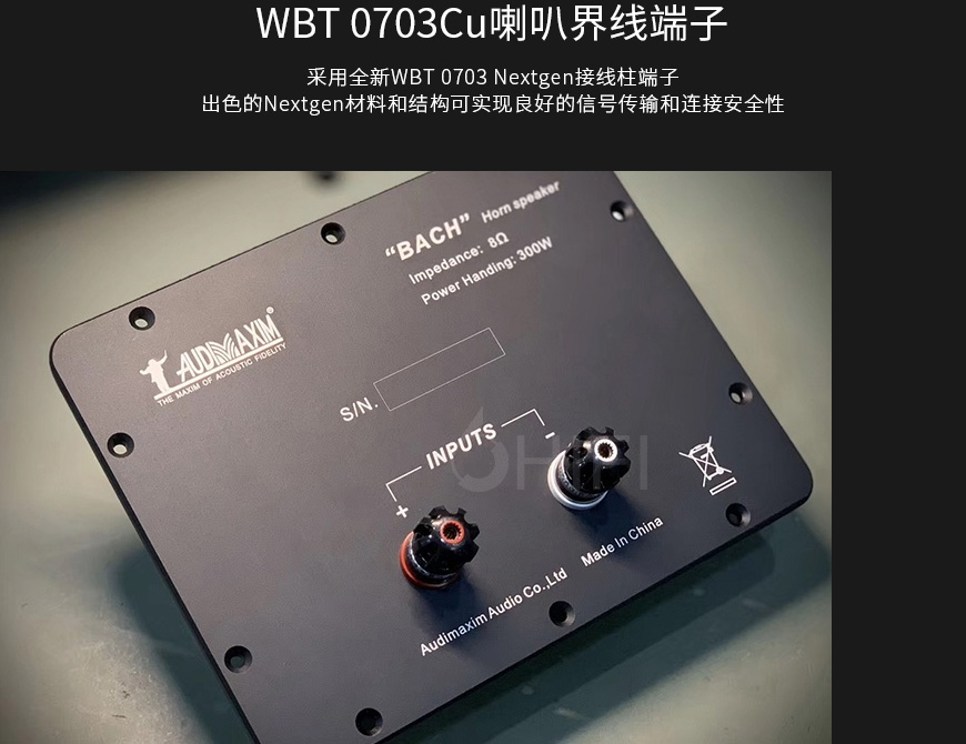 中國 音樂大師 AUDIMAXIM BACH巴赫 號角音箱,音樂大師 BACH巴赫 號角音箱,中國 AUDIMAXIM BACH巴赫,中國 音樂大師