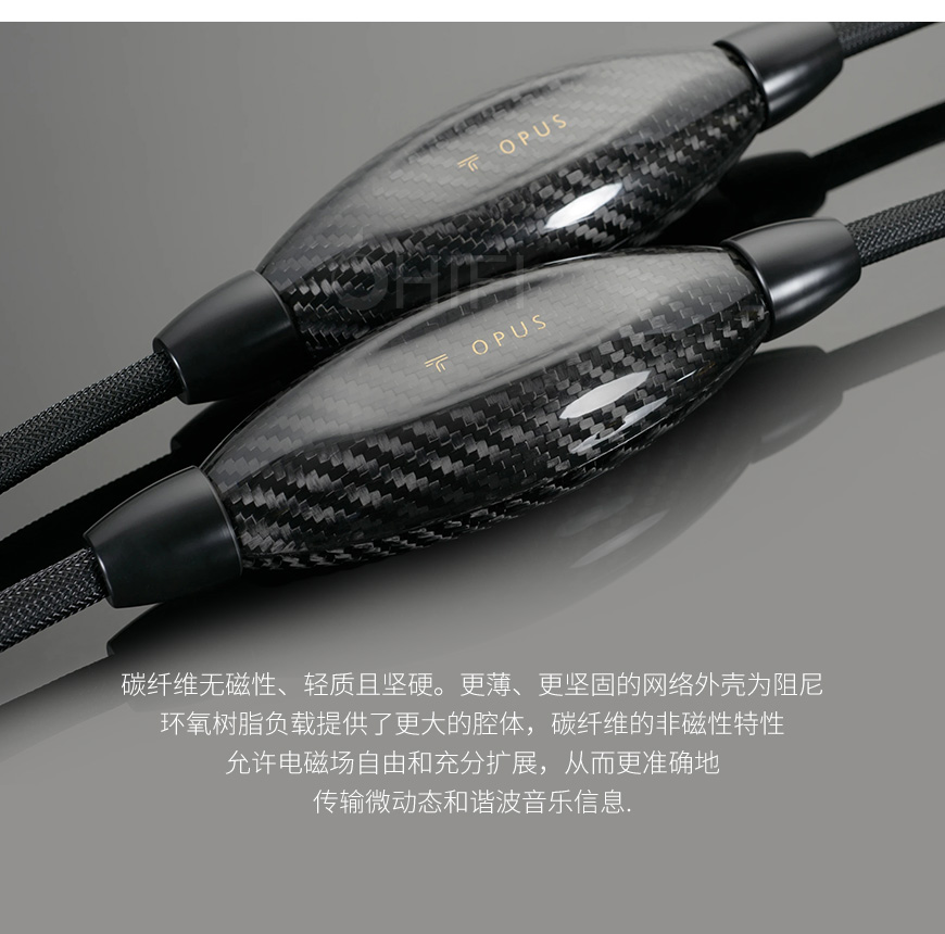 美國 Transparent 天仙配 OPUS RCA OSE G6 信號線