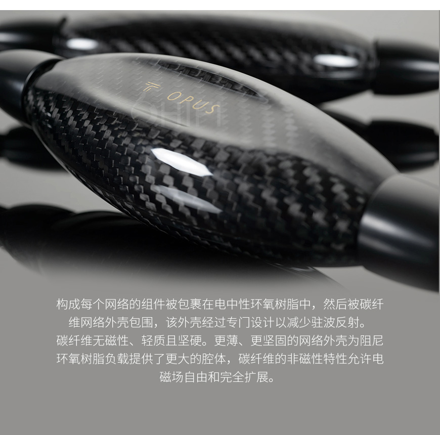 美國 天仙配Transparent Balance Opus OBL G6 平衡信號線