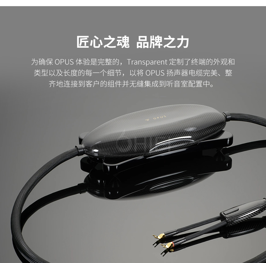 美國 Transparent 天仙配 OPUS Speaker Cable OSC G6 音箱線