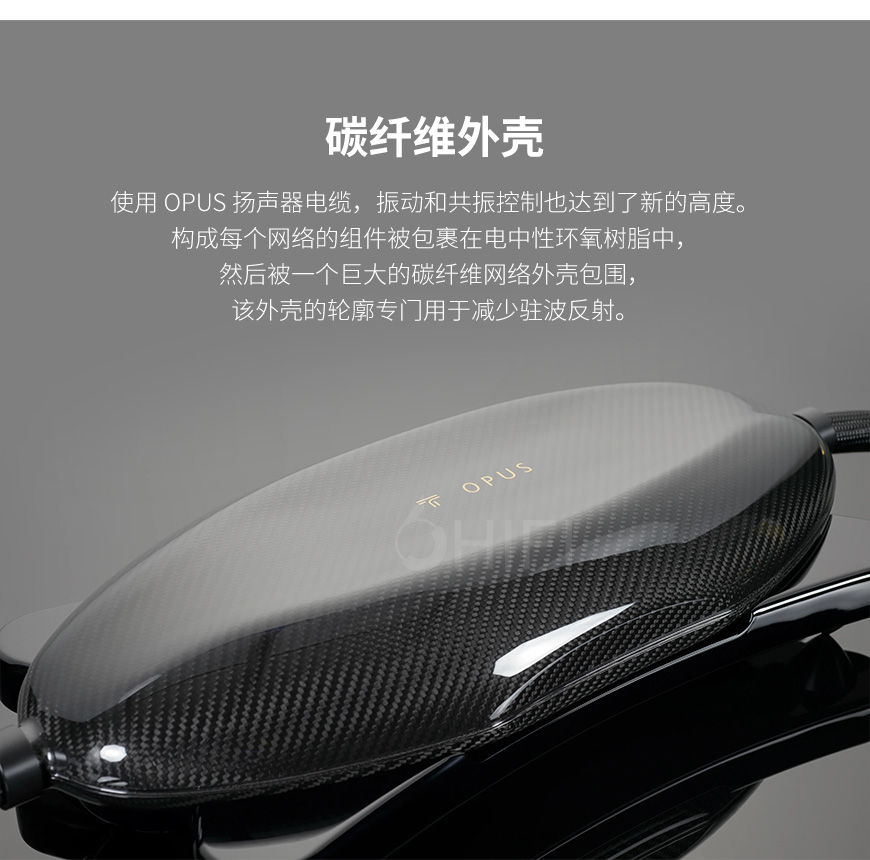 美國 Transparent 天仙配 OPUS Speaker Cable OSC G6 音箱線