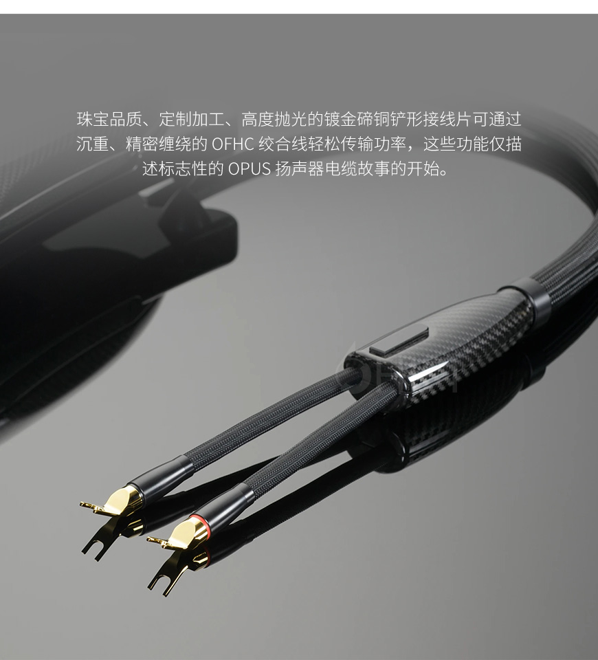 美國 Transparent 天仙配 OPUS Speaker Cable OSC G6 音箱線