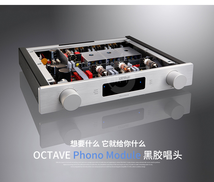 德國,OCTAVE八度,OCTAVE,八度,Phono Module,黑膠唱頭,唱頭