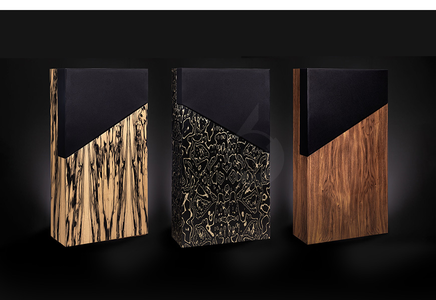 法國 Davis THE WALL 落地箱,音箱